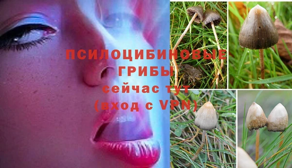 бошки Баксан
